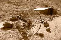 Band W images