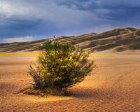 Great Sand Dune