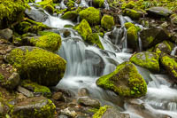 Sol duc falls